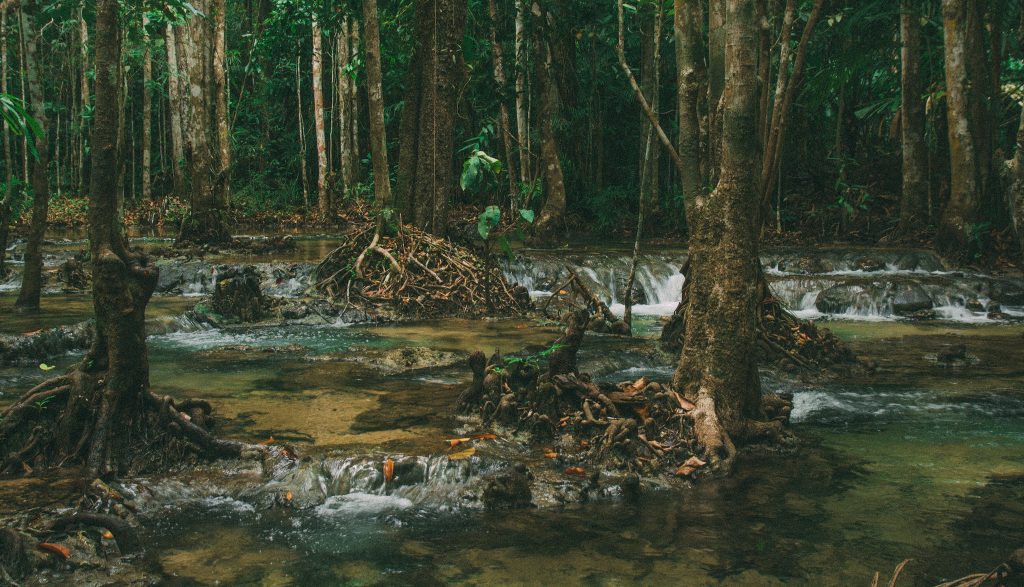 Environment and natural resources - Open Development Thailand